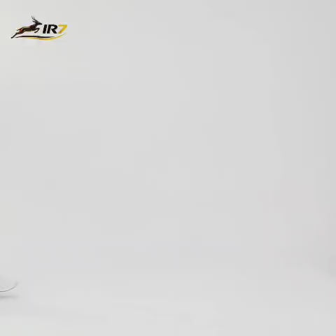 Charger la vidéo : 